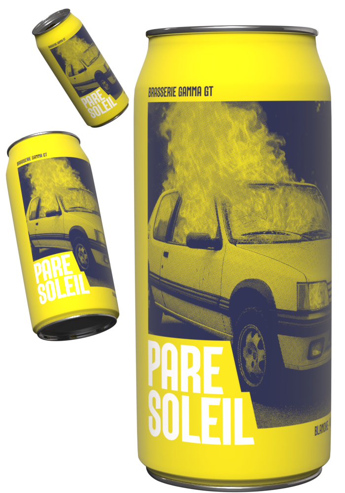 visuel-pare-soleil